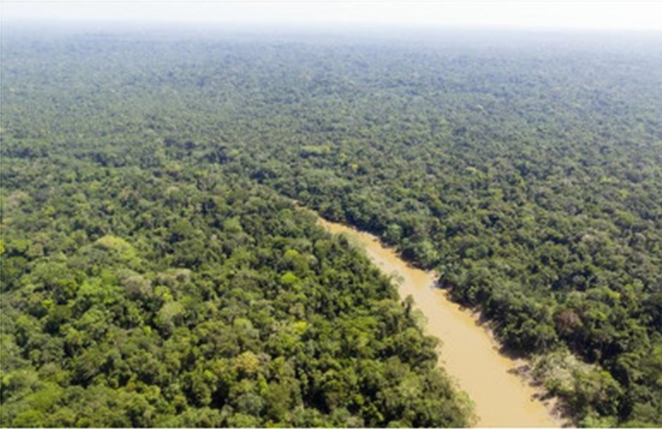 Μείον 85% στην αποψίλωση του δάσους του Αμαζονίου