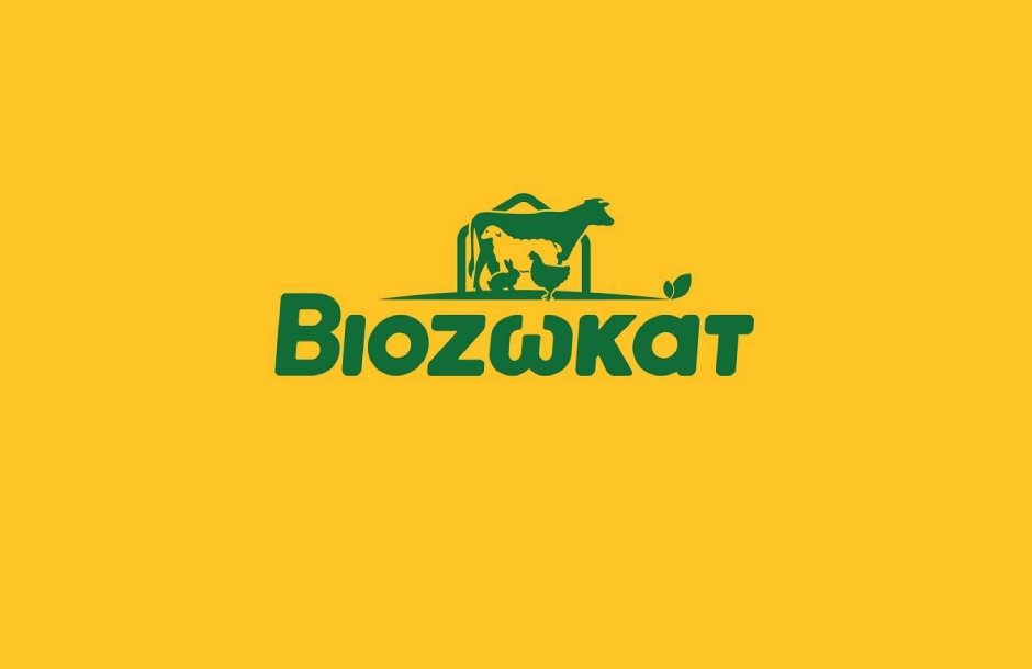 viozwkat-logo