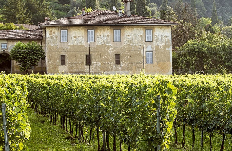 wineitaly