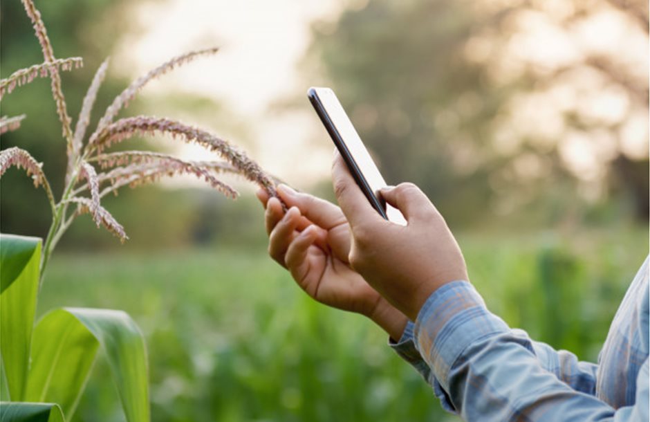 woman-farmer-using-technology-mobile-corn-field_34152-1340