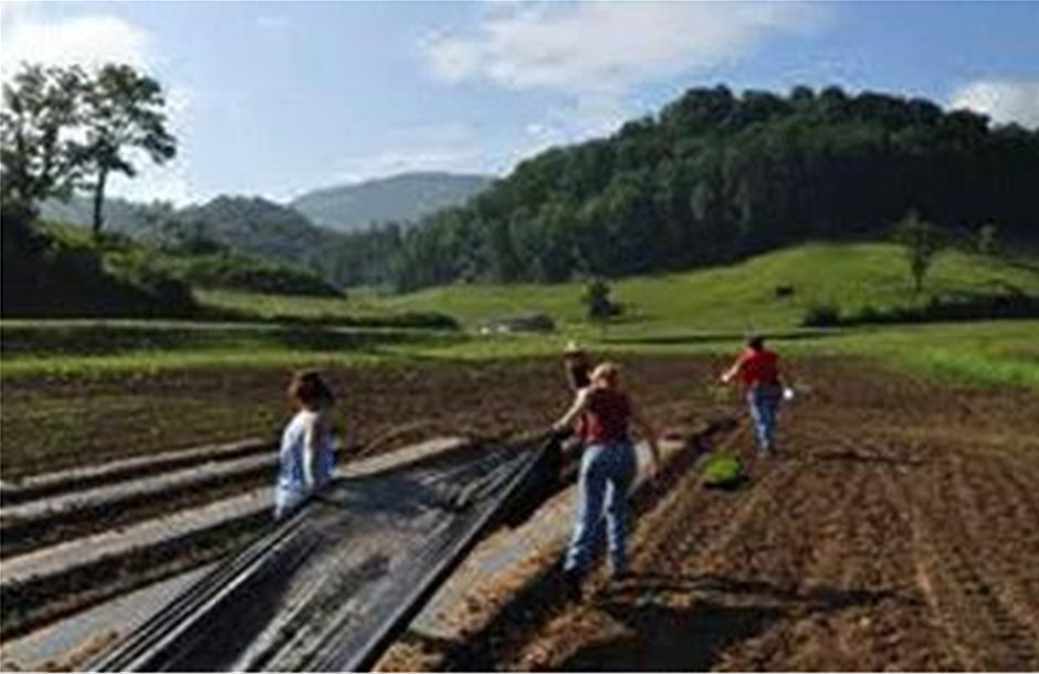 Εγκρίθηκε η απαλλοτρίωση αγροτεμαχίων στην Αλόννησο