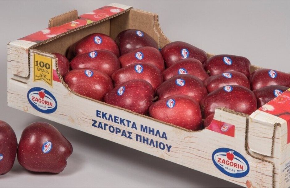 zagorin_mhla