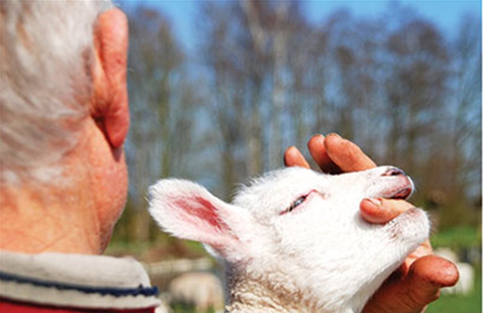 Στέρεψε η υπομονή των κτηνοτρόφων που περιμένουν ακόμα το τσεκ του 2013