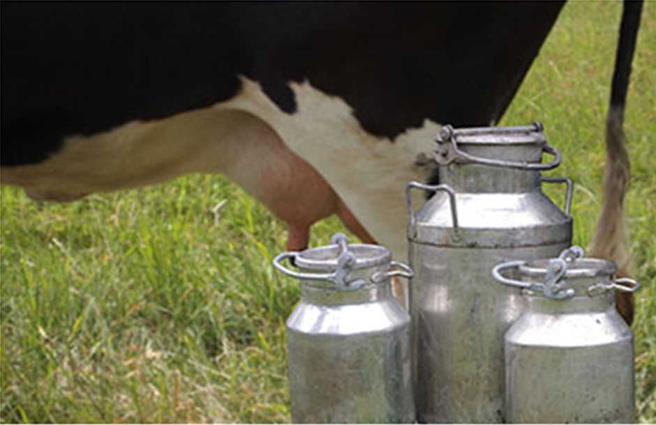 Μέτρα για γάλα ζητούν από το Χόγκαν οι ευρωβουλευτές