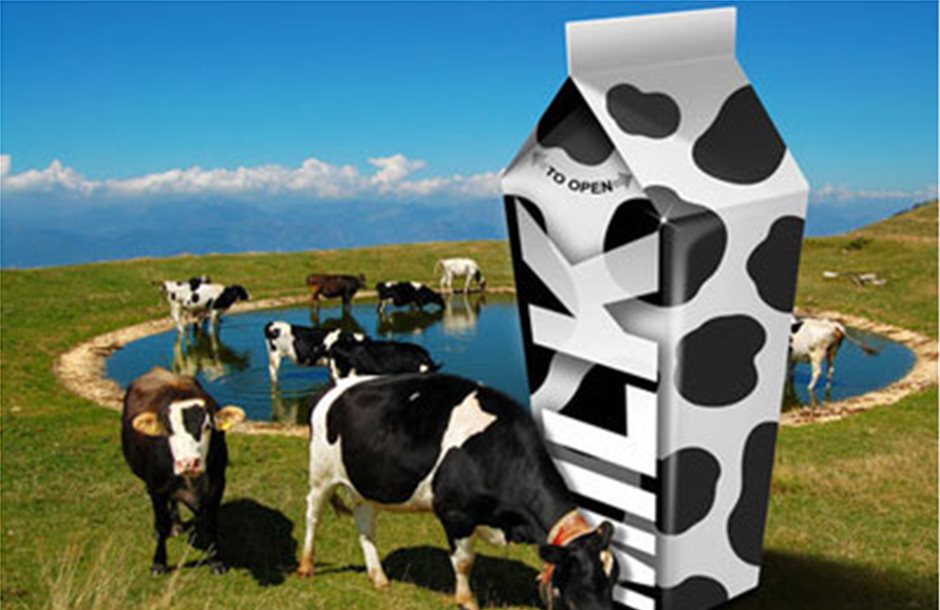 Ολοκληρώθηκε το έγκλημα στο γάλα, για «ξεπούλημα» μιλούν οι κτηνοτρόφοι 