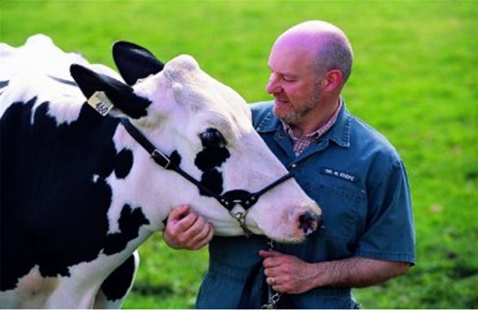 Χαρούμενοι αγρότες, χαρούμενες αγελάδες, περισσότερο γάλα