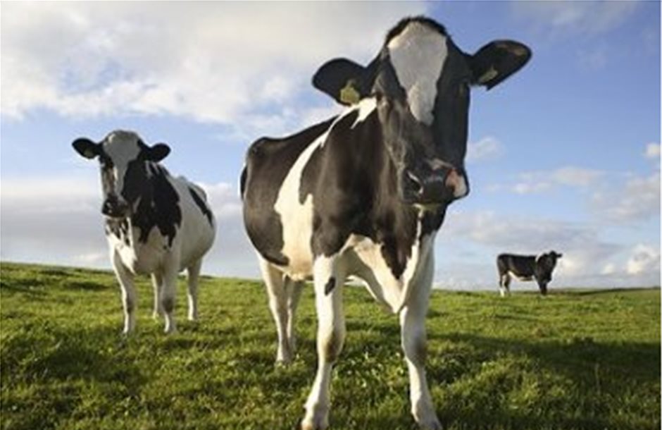 Η Βραζιλία αίρει το εμπάργκο στις εισαγωγές βοοειδών της ΕΕ