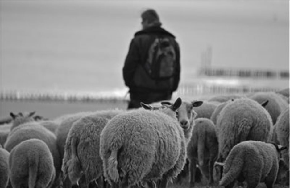 Δηλώσεις ΟΣΔΕ για κτηνοτρόφους ως 17 Απρίλη 