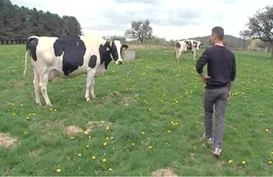 Στα δικαστήρια προσφεύγουν Γάλλοι κτηνοτρόφοι για τις χαμηλές τιμές στο γάλα