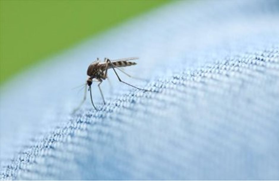 Αεροψεκασμοί για κουνούπια σε Αττική, Λάρισα και Μακεδονία