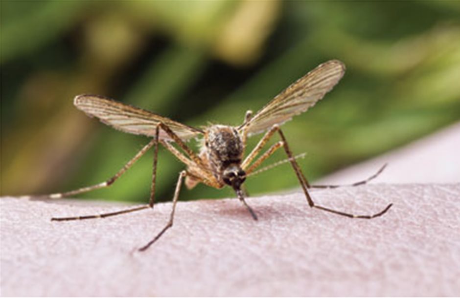 Οδηγίες της Περιφέρειας Ημαθίας για την αντιμετώπιση κουνουπιών