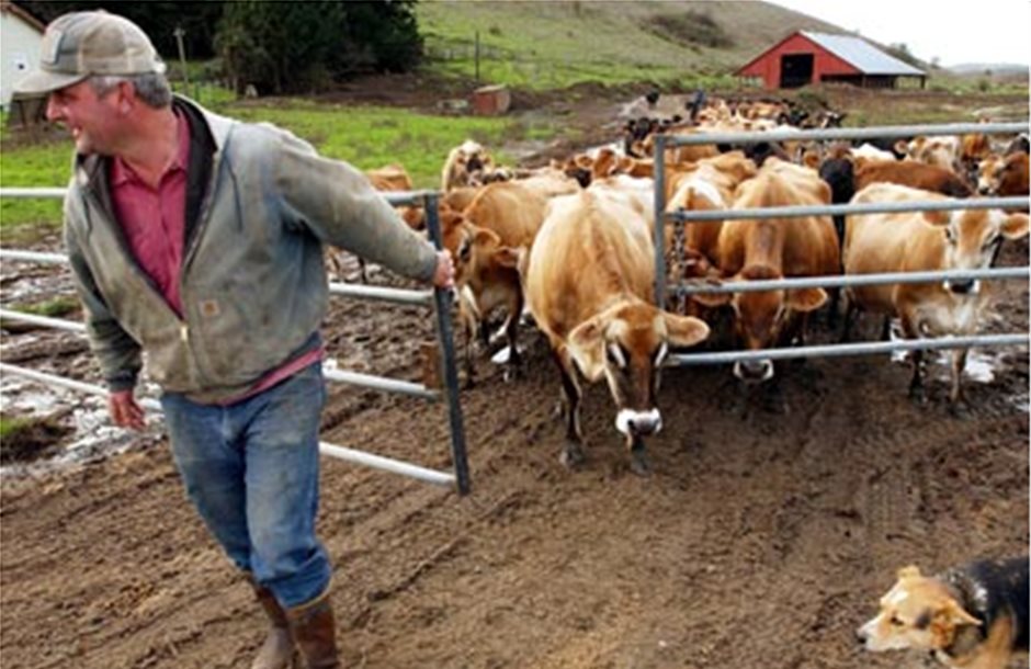 Στους 29 οι κτηνοτρόφοι με δικαίωμα για Ελληνική εκτροφή άνω των 5 μηνών