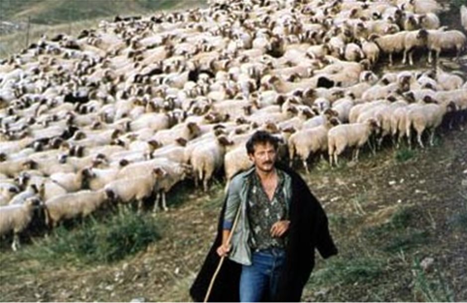 Διαμαρτύρονται οι κτηνοτρόφοι της Ανατολικής Μακεδονίας  