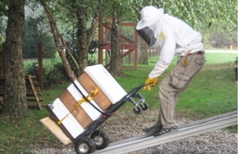 Αστυνομική προστασία για τις κλοπές ζητούν οι μελισσοκόμοι Έβρου