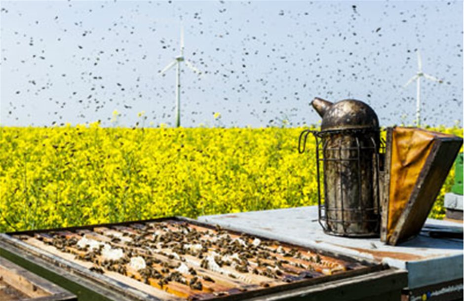 Δύο νέα σεμινάρια μελισσοκομίας από την Open Mellon  