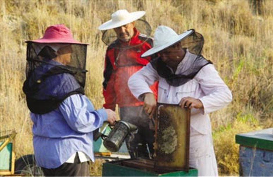 Ενίσχυση μελισσοκόμων για αντικατάσταση κυψελών