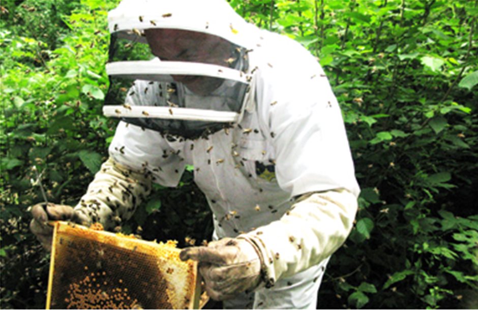 Πρόγραμμα επιχορήγησης για εκπαιδεύσεις μελισσοκόμων