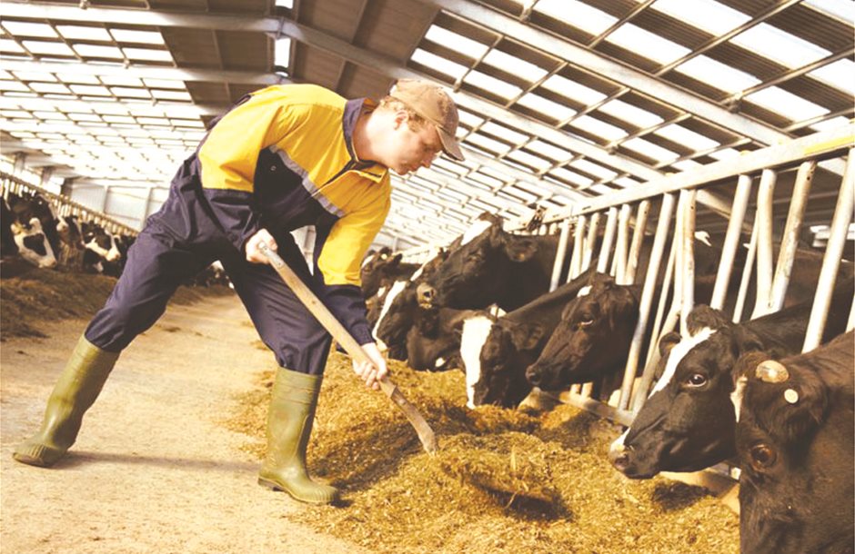 κτηνοτροφοι-αγελαδες-ζωοτροφες