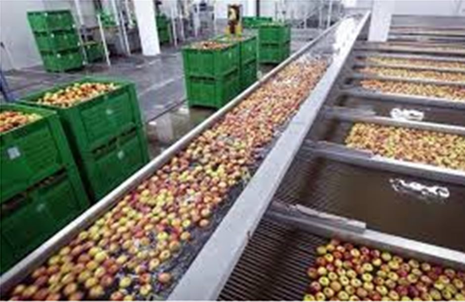 Πιεσμένα τα μήλα σε παγκόσμιο επίπεδο 