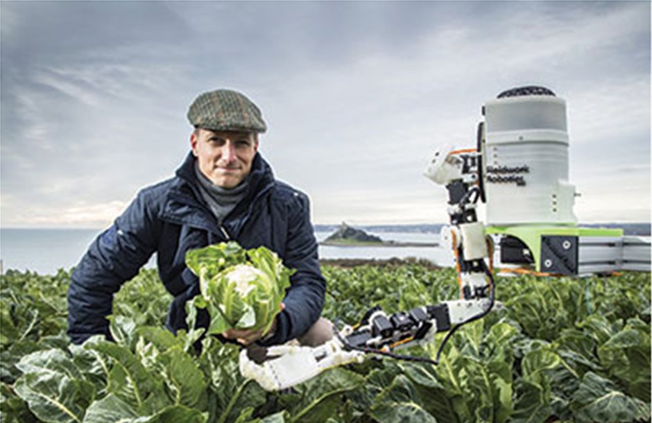 Ρόλο στη συγκομιδή λαχανικών βρίσκουν τα ρομπότ 